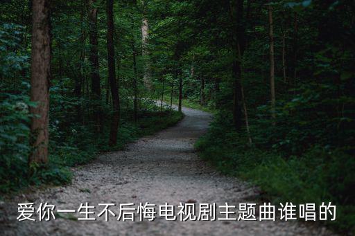 愛你一生不后悔電視劇主題曲誰唱的