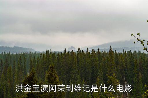 洪金寶演阿榮到雄記是什么電影