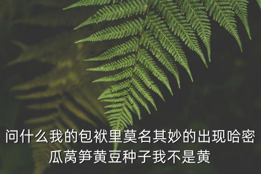 包袱抖不完，問什么我的包袱里莫名其妙的出現哈密瓜萵筍黃豆種子我不是黃