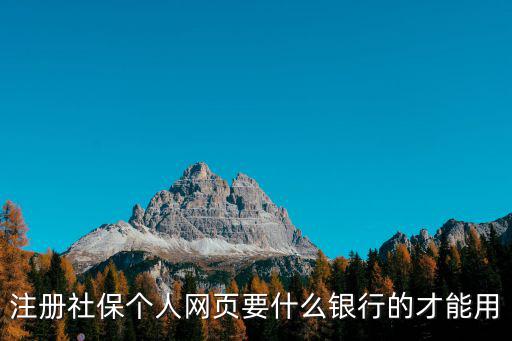 注冊社保個人網(wǎng)頁要什么銀行的才能用