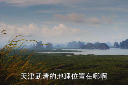 天津武清區，天津武清的地理位置在哪啊