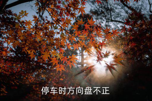 停車時方向盤不正