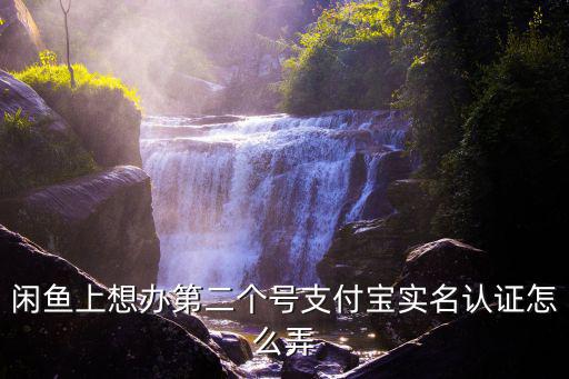 閑魚上想辦第二個號支付寶實名認證怎么弄