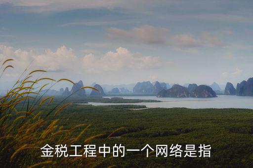 金稅工程中的一個網絡是指