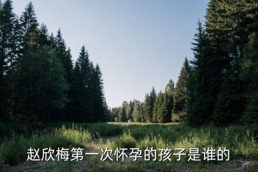 趙欣梅第一次懷孕的孩子是誰的