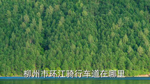 環江村，環江在哪里