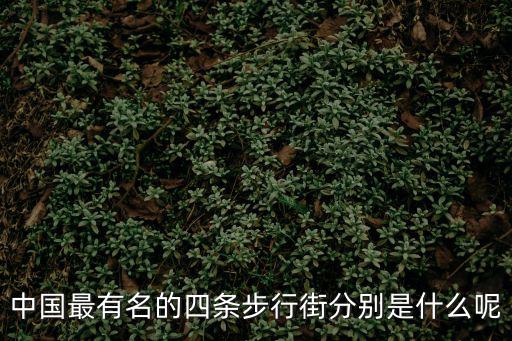 中國最有名的四條步行街分別是什么呢