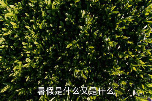 暑假是什么又是什么