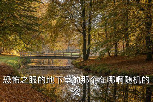 恐怖之眼的地下室的那個在哪啊隨機的么