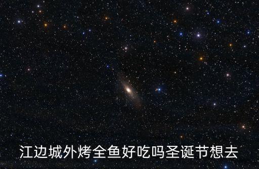 江邊城外烤全魚好吃嗎圣誕節想去