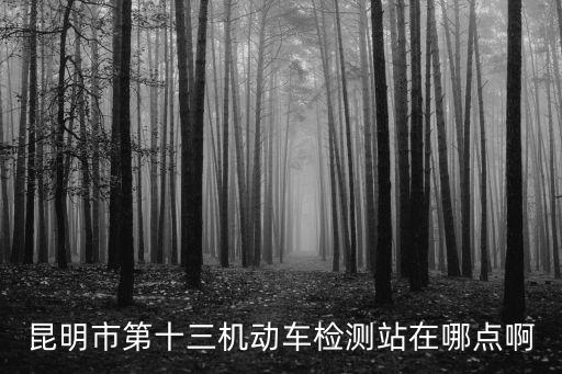昆明市第十三機動車檢測站在哪點啊