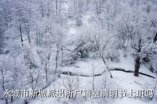 新城派出所，永城市新城派出所戶籍室清明節上班嗎