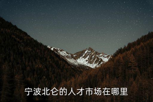 寧波北侖的人才市場在哪里