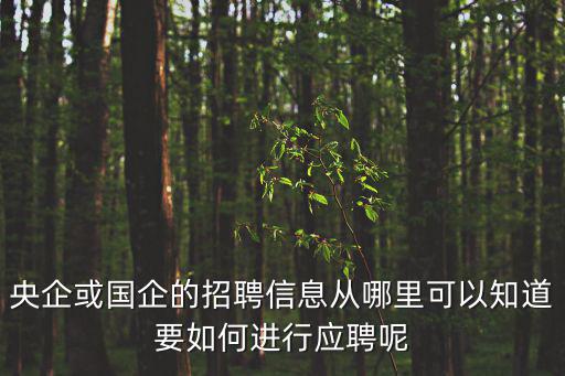 央企或國企的招聘信息從哪里可以知道要如何進行應聘呢