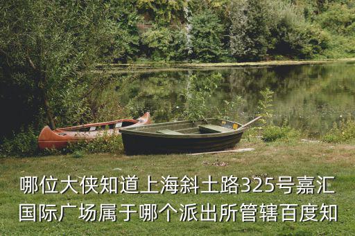 哪位大俠知道上海斜土路325號嘉匯國際廣場屬于哪個派出所管轄百度知