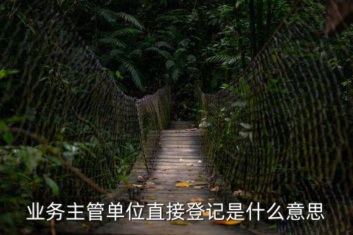 業(yè)務(wù)主管單位直接登記是什么意思