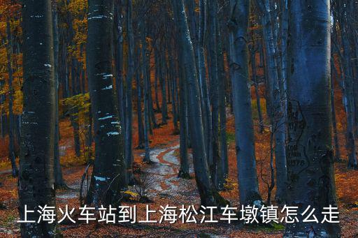 上海火車站到上海松江車墩鎮(zhèn)怎么走