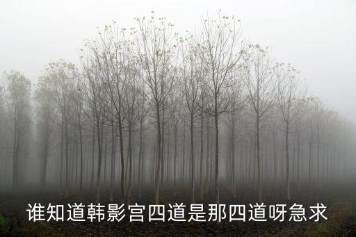 誰(shuí)知道韓影宮四道是那四道呀急求