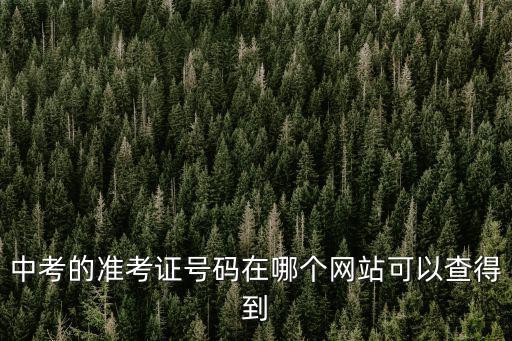 中考的準考證號碼在哪個網站可以查得到