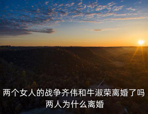 兩個女人的戰爭齊偉和牛淑榮離婚了嗎 兩人為什么離婚
