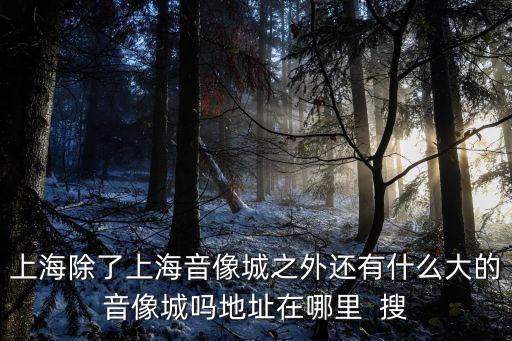 上海除了上海音像城之外還有什么大的音像城嗎地址在哪里  搜