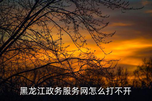 黑龍江政務(wù)服務(wù)網(wǎng)怎么打不開