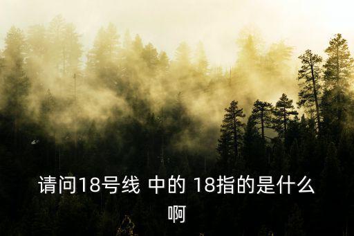 18號線，請問18號線 中的 18指的是什么啊