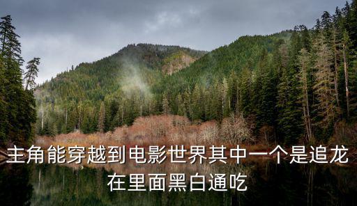 主角能穿越到電影世界其中一個是追龍在里面黑白通吃
