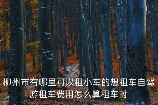 柳州市有哪里可以租小車的想租車自駕游租車費用怎么算租車時