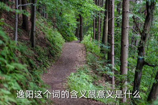 逸陽，逸陽這個詞的含義跟意義是什么