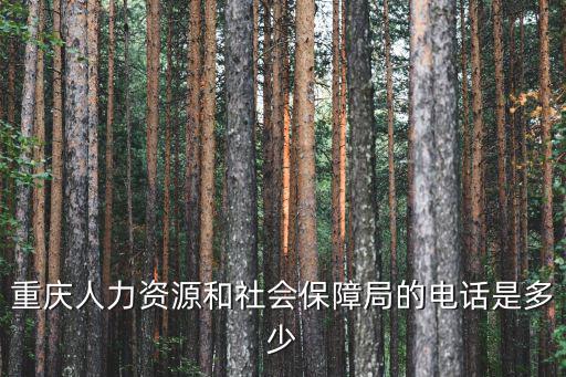 重慶市社會保障局，重慶社保局在哪里