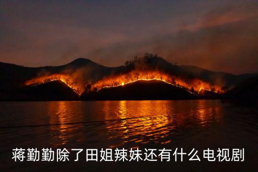 蔣勤勤除了田姐辣妹還有什么電視劇