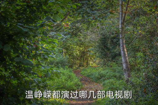溫崢嶸都演過哪幾部電視劇