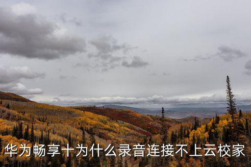 華為暢享十為什么錄音連接不上云校家
