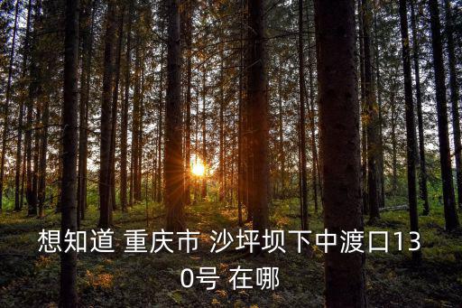 想知道 重慶市 沙坪壩下中渡口130號 在哪