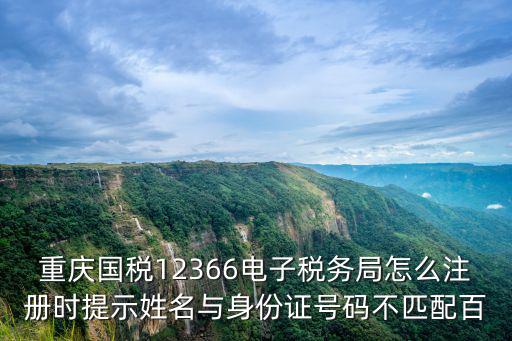 重慶國(guó)稅12366電子稅務(wù)局怎么注冊(cè)時(shí)提示姓名與身份證號(hào)碼不匹配百