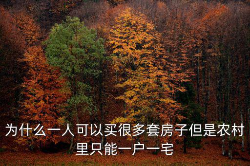 為什么一人可以買很多套房子但是農(nóng)村里只能一戶一宅