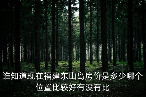 誰知道現在福建東山島房價是多少哪個位置比較好有沒有比