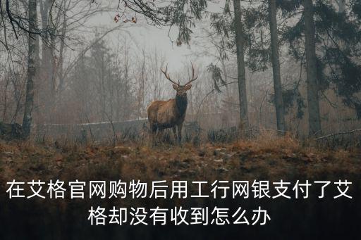 艾格購物，在艾格官網購物后用工行網銀支付了艾格卻沒有收到怎么辦