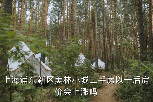 上海浦東新區美林小城二手房以一后房價會上漲嗎