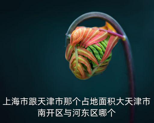 上海市跟天津市那個占地面積大天津市南開區與河東區哪個