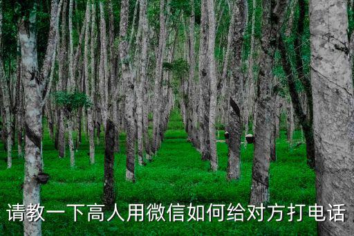 請教一下高人用微信如何給對方打電話
