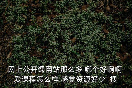 網上公開課網站那么多 哪個好啊啊 愛課程怎么樣 感覺資源好少  搜
