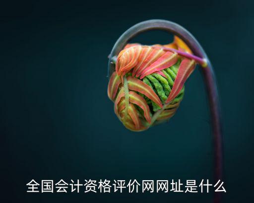 全國會計資格評價網網址是什么
