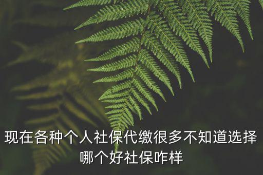 現在各種個人社保代繳很多不知道選擇哪個好社保咋樣