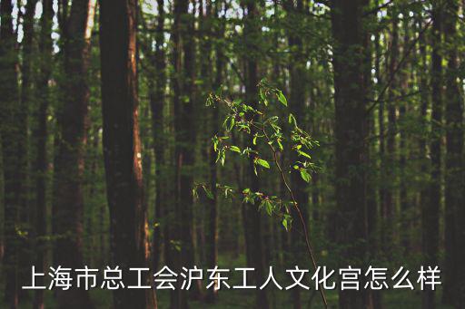 上海市總工會滬東工人文化宮怎么樣