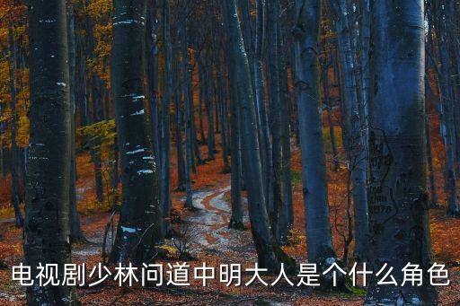 電視劇少林問道中明大人是個什么角色