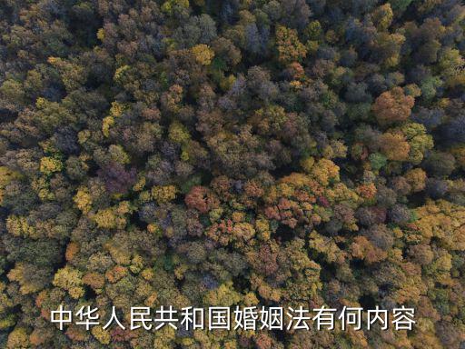 中華人民共和國(guó)婚姻法有何內(nèi)容