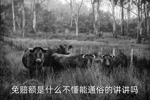什么是免賠額，免賠額是什么意思