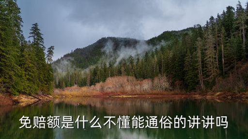 免賠額是什么不懂能通俗的講講嗎